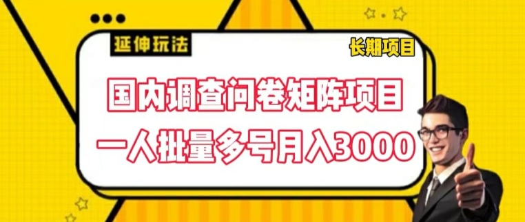 国内调查问卷矩阵项目，一人批量多号月入3000-紫橙资源网