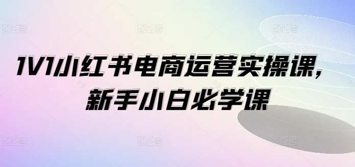 1V1小红书电商运营实操课，新手小白必学课-紫橙资源网