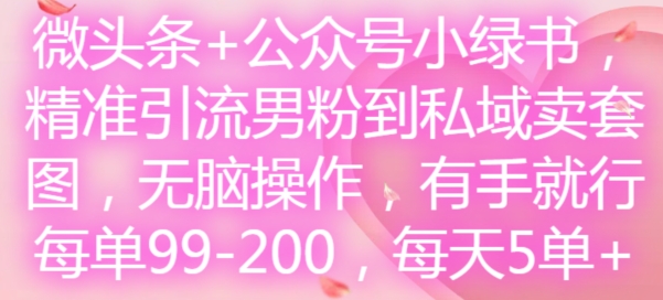 微头条+公众号小绿书，精准引流男粉到私域卖套图，无脑操作，有手就行，每单99-200，每天5单-紫橙资源网