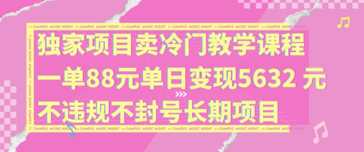 独家项目卖冷门教学课程一单88元单日变现5632元违规不封号长期项目-紫橙资源网
