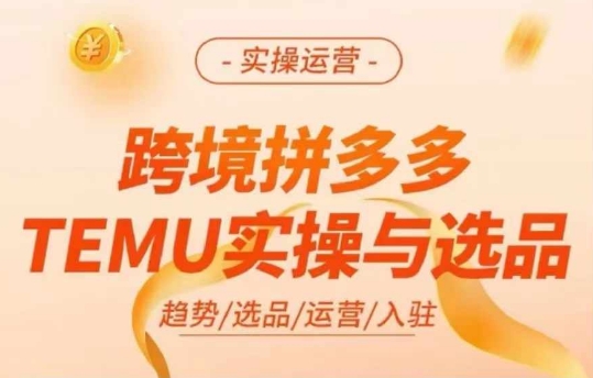 跨境拼多多TEMU实操与选品，多多temu跨境选品运营实操-紫橙资源网