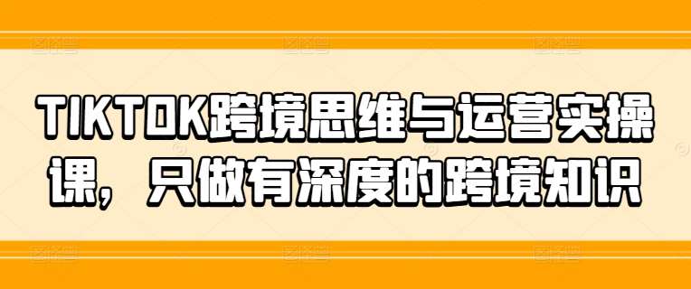 TIKTOK跨境思维与运营实操课，只做有深度的跨境知识-紫橙资源网