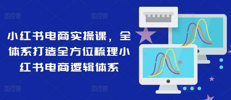 小红书电商实操课，全体系打造全方位梳理小红书电商逻辑体系-紫橙资源网