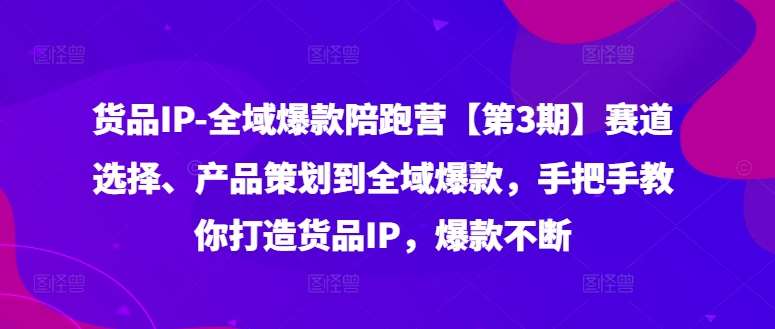 货品IP全域爆款陪跑营【第3期】赛道选择、产品策划到全域爆款，手把手教你打造货品IP，爆款不断-紫橙资源网