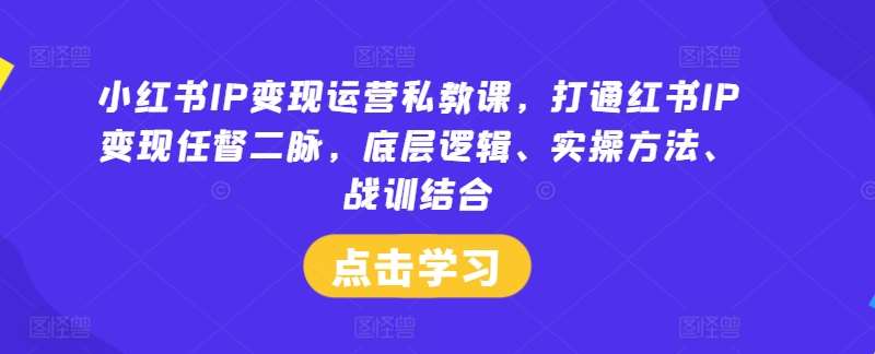 小红书IP变现运营私教课，打通红书IP变现任督二脉，底层逻辑、实操方法、战训结合-紫橙资源网