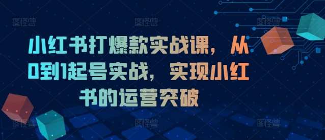 小红书打爆款实战课，从0到1起号实战，实现小红书的运营突破-紫橙资源网
