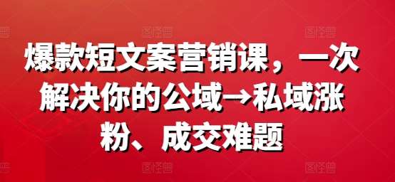 爆款短文案营销课，一次解决你的公域→私域涨粉、成交难题-紫橙资源网