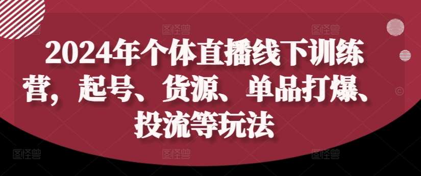 2024年个体直播训练营，起号、货源、单品打爆、投流等玩法-紫橙资源网