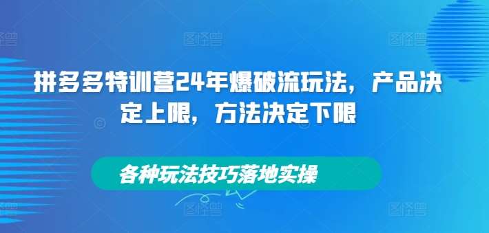 拼多多特训营24年爆破流玩法，产品决定上限，方法决定下限，各种玩法技巧落地实操 - 冒泡网