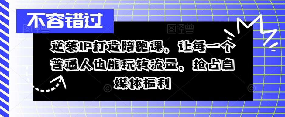 逆袭IP打造陪跑课，让每一个普通人也能玩转流量，抢占自媒体福利-紫橙资源网