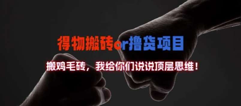 得物搬砖撸货项目?掰下数据，我给你们说说顶层思维【揭秘】-紫橙资源网