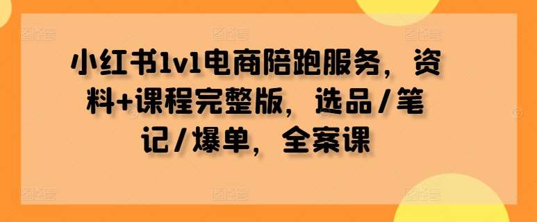 小红书1v1电商陪跑服务，资料+课程完整版，选品/笔记/爆单，全案课-紫橙资源网