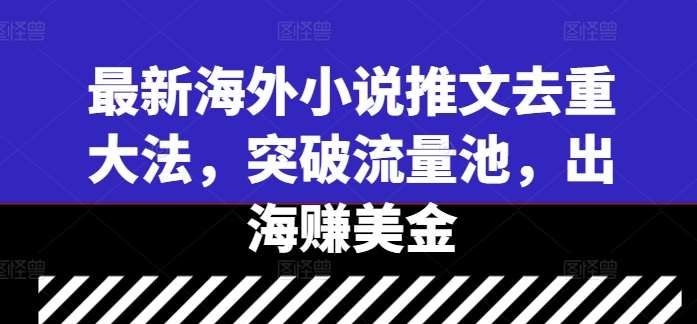 最新海外小说推文去重大法，突破流量池，出海赚美金-紫橙资源网