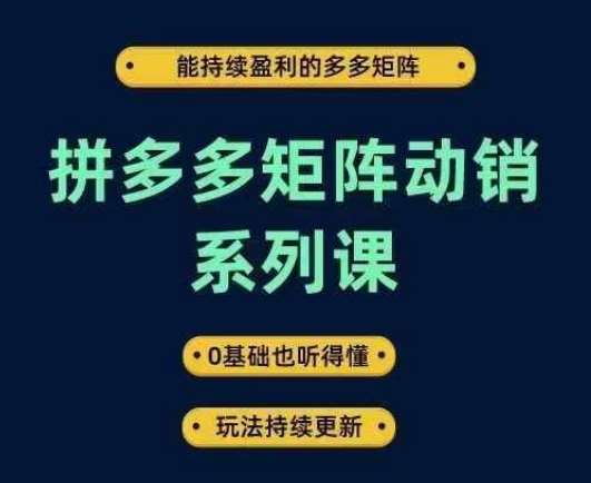 拼多多矩阵动销系列课,能持续盈利的多多矩阵,0基础也听得懂,玩法持续更新-紫橙资源网