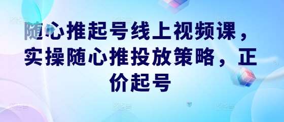 随心推起号线上视频课，实操随心推投放策略，正价起号-紫橙资源网