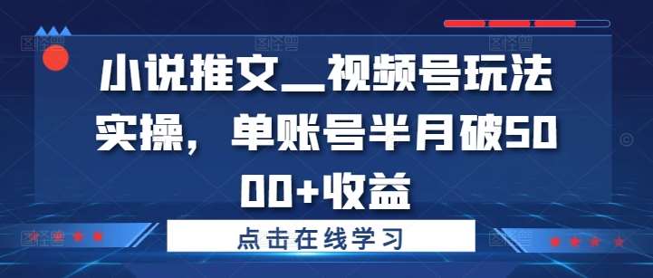 小说推文—视频号玩法实操,单账号半月破5000+收益-紫橙资源网