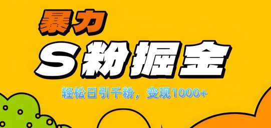 单人单机日引千粉，变现1k+，S粉流量掘金计划攻略【揭秘】-紫橙资源网