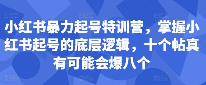 小红书暴力起号特训营，掌握小红书起号的底层逻辑，十个帖真有可能会爆八个-紫橙资源网