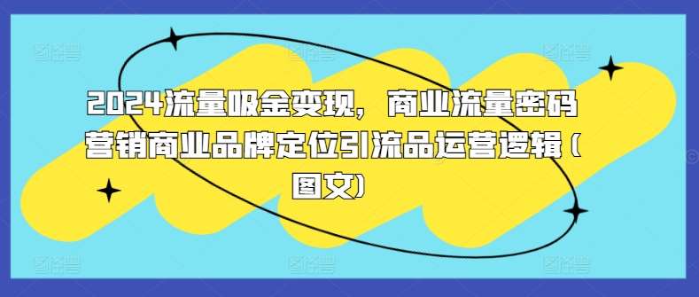 2024流量吸金变现，商业流量密码营销商业品牌定位引流品运营逻辑(图文)-紫橙资源网