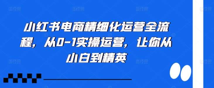 小红书电商精细化运营全流程，从0-1实操运营，让你从小白到精英-紫橙资源网