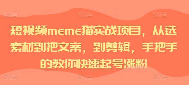 短视频meme猫实战项目，从选素材到把文案，到剪辑，手把手的教你快速起号涨粉-紫橙资源网