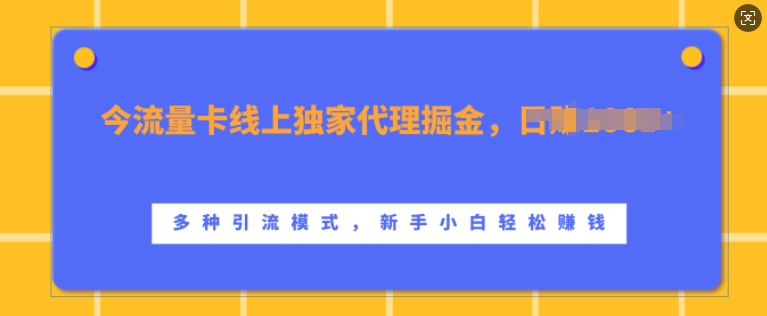 流量卡线上独家代理掘金，日入1k+ ，多种引流模式，新手小白轻松上手-紫橙资源网
