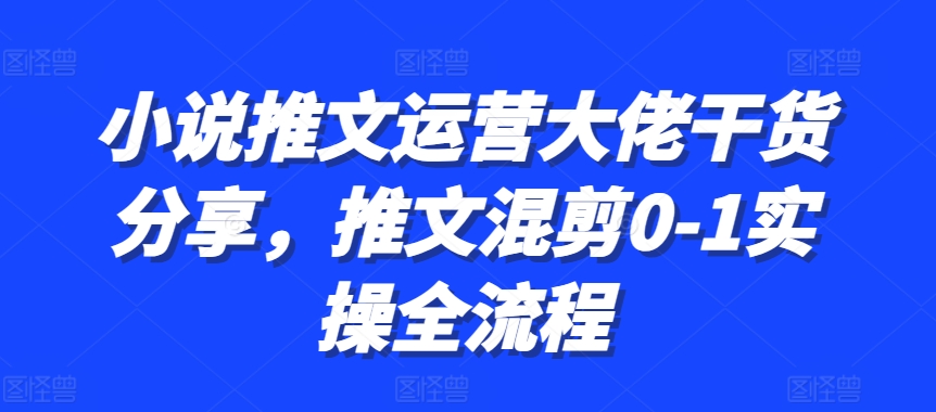 小说推文运营大佬干货分享,推文混剪0-1实操全流程-紫橙资源网