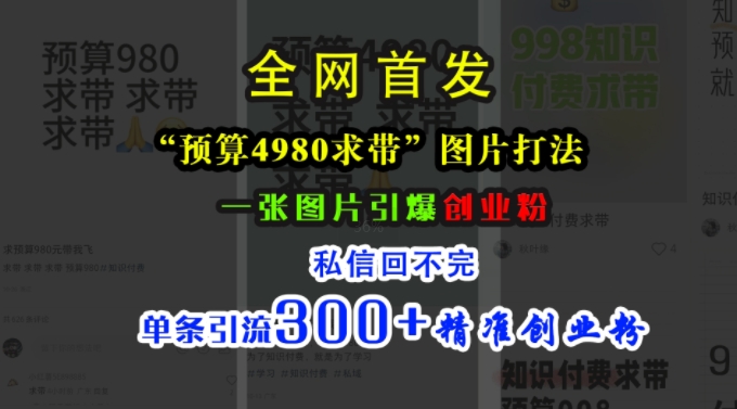 小红书“预算4980带我飞”图片打法，一张图片引爆创业粉，私信回不完，单条引流300+精准创业粉-紫橙资源网