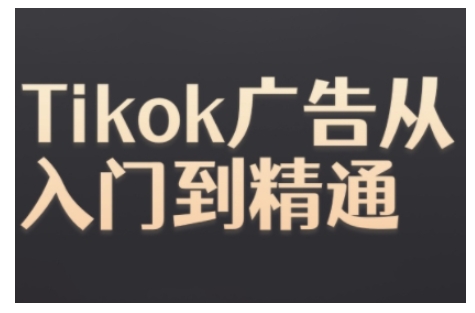 Tiktok Ads实操教程，Tiktok广告从入门到精通-紫橙资源网