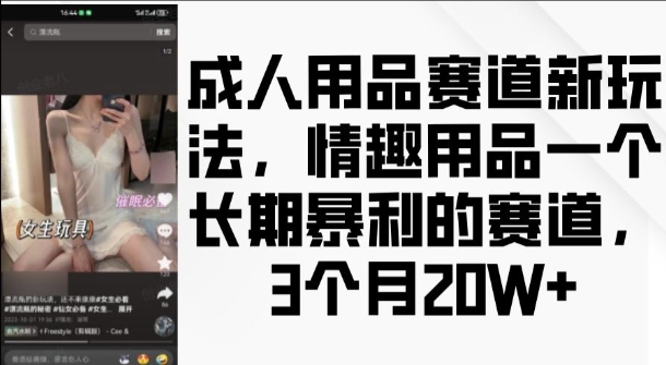 成人用品赛道新玩法，情趣用品一个长期暴利的赛道，3个月收益20个-紫橙资源网