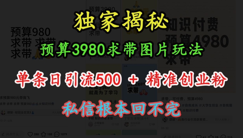 预算3980求带 图片玩法，单条日引流500+精准创业粉，私信根本回不完-紫橙资源网