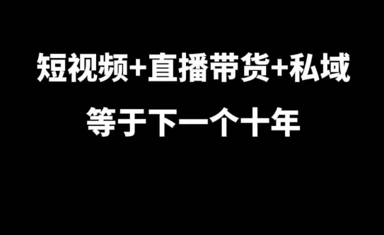 短视频+直播带货+私域等于下一个十年，大佬7年实战经验总结-紫橙资源网