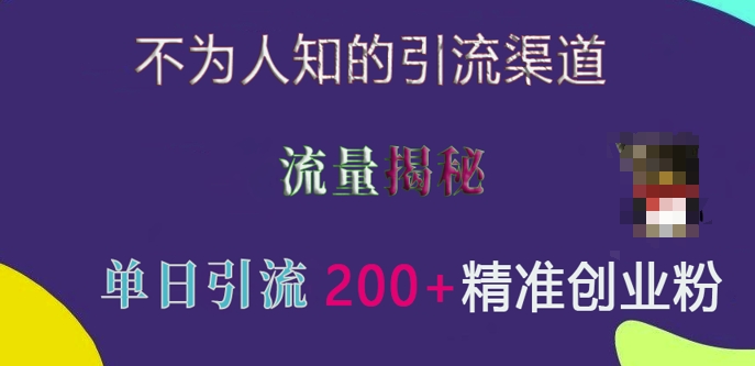 不为人知的引流渠道，流量揭秘，实测单日引流200+精准创业粉-紫橙资源网