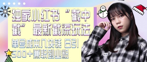 最新小红书截流玩法 独家截中截 单号成本几块钱 日引500+CY粉JZ粉-紫橙资源网