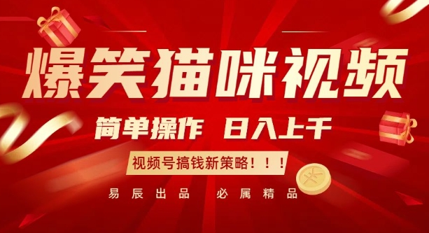 爆笑猫咪视频：简单操作，日入过K，视频号搞钱新策略-紫橙资源网