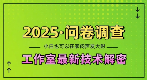 2025问卷调查最新工作室技术解密：一个人在家也可以闷声发大财，小白一天2张，可矩阵放大-紫橙资源网