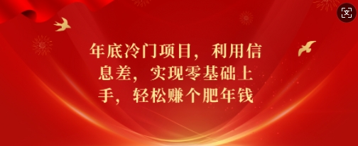 年底冷门项目，利用信息差，实现零基础上手，轻松赚个肥年钱-紫橙资源网