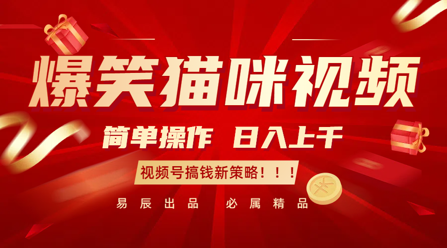 爆笑猫咪视频：简单操作，日入过千，视频号搞钱新策略！-紫橙资源网