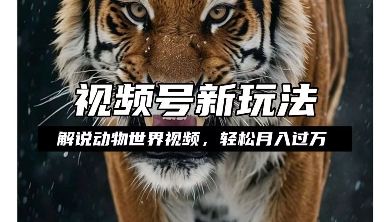 利用动物世界解说视频，赚分成计划收益，轻松月入过W，操作简单-紫橙资源网