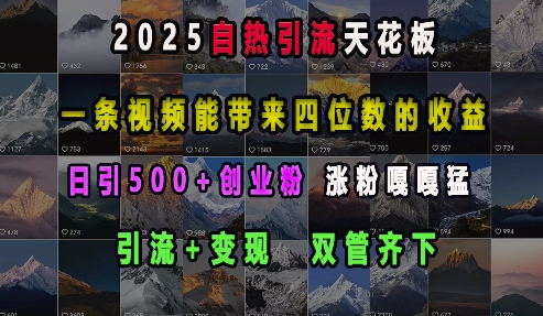 2025自热引流天花板，一条视频能带来四位数的收益，引流+变现双管齐下，日引500+创业粉，涨粉嘎嘎猛-紫橙资源网