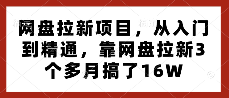 网盘拉新项目，从入门到精通，靠网盘拉新3个多月搞了16W-紫橙资源网