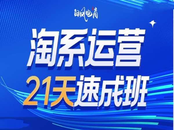 淘系运营21天速成班35期，年前最后一波和2025方向-紫橙资源网
