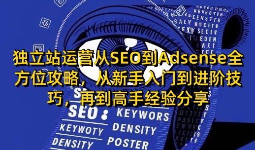 独立站运营从SEO到Adsense全方位攻略，从新手入门到进阶技巧，再到高手经验分享-紫橙资源网