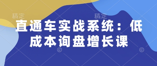 直通车实战系统:低成本询盘增长课,让个人通过技能实现升职加薪,让企业低成本获客,订单源源不断-紫橙资源网