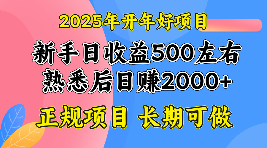 2025开年好项目，单号日收益2000左右-紫橙资源网