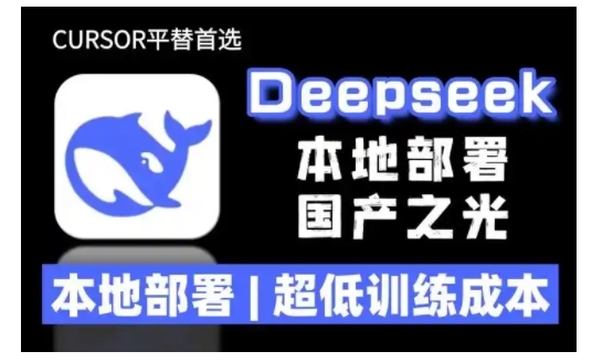2025年deepseek R1 大型模型本地安装部署(文件+教程)本地部署,超低训练成本-紫橙资源网