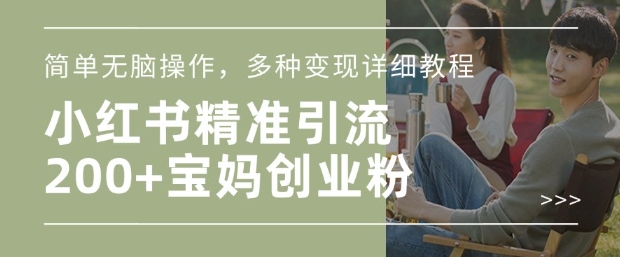 小红书混剪日引200+宝妈创业粉，简单无脑操作，多种变现详细教程-紫橙资源网