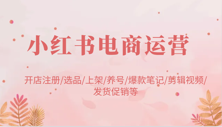 小红书电商运营：开店注册/选品/上架/养号/爆款笔记/剪辑视频/发货促销等-紫橙资源网