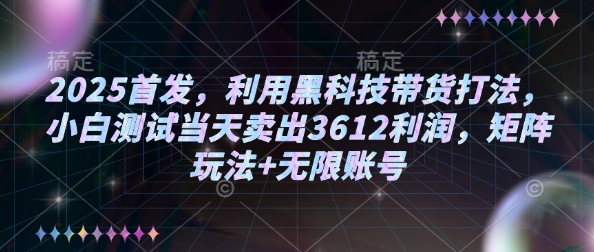 2025首发，利用黑科技带货打法，小白测试当天卖出3612利润，矩阵玩法+无限账号-紫橙资源网
