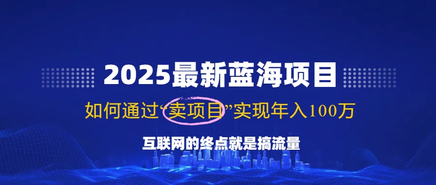 2025最新蓝海项目，零门槛轻松复制，月入10万+，新手也能操作！-紫橙资源网